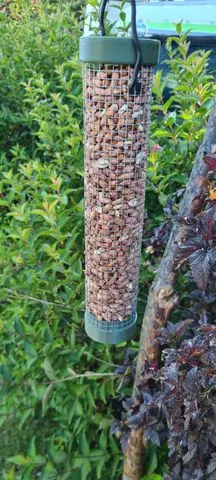 Nut Bird Feeder [Beta]
